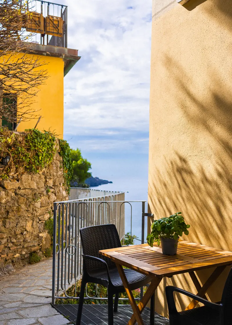 Shaded raised garden with a table, chairs and a pot of basil