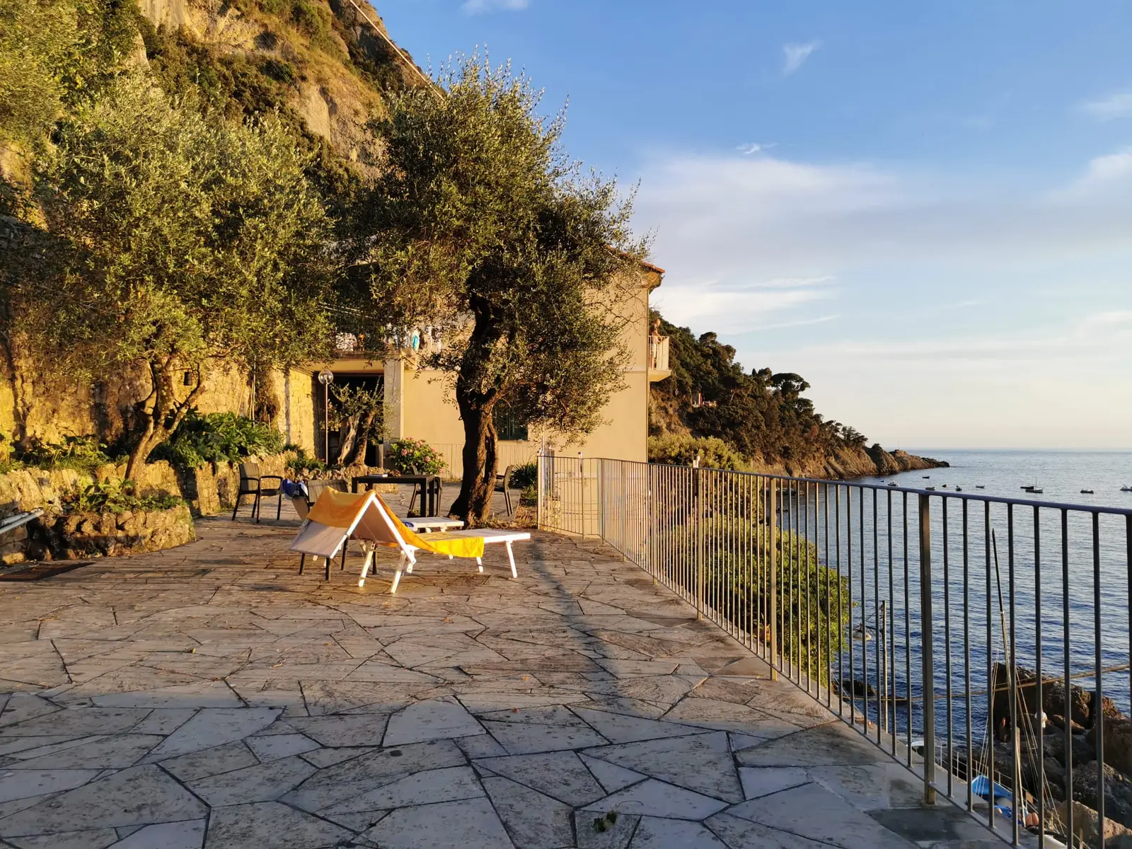 The terrace among the olive trees, high above the sea at Punta Chiappa